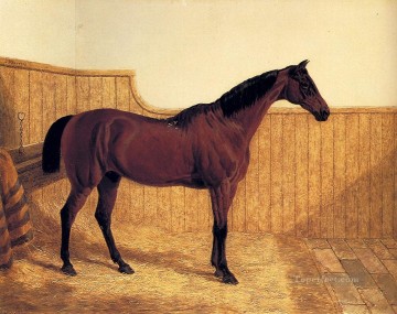horse cats Painting - A Bay Hunter In A Loose Box Herring Snr John Frederick horse